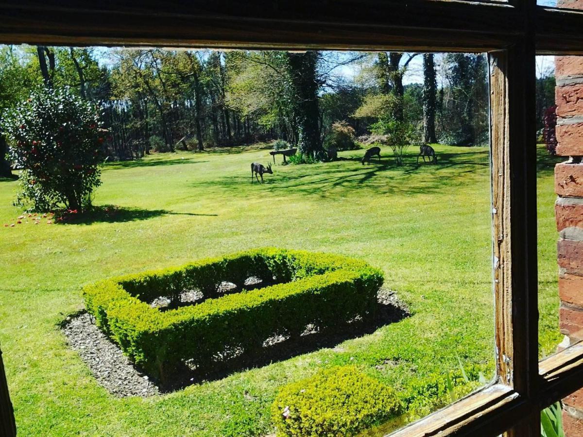 Les Hotes Des Guillemets Laglorieuse Экстерьер фото